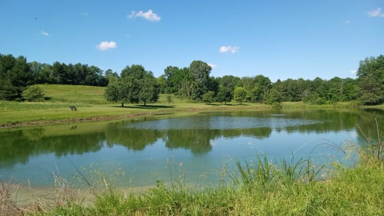 Cooke Family Wildlife Conservation Park