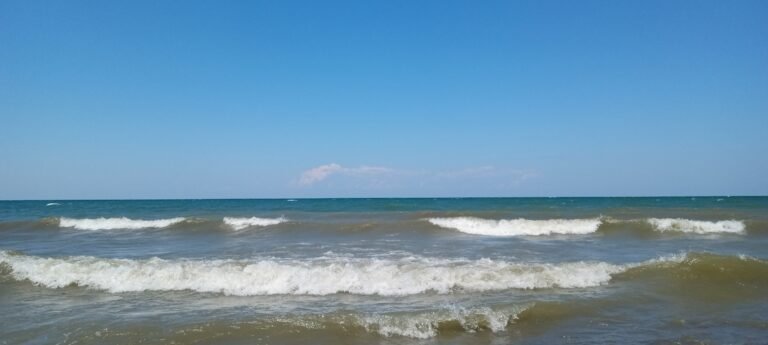 Erie Bluffs State Park