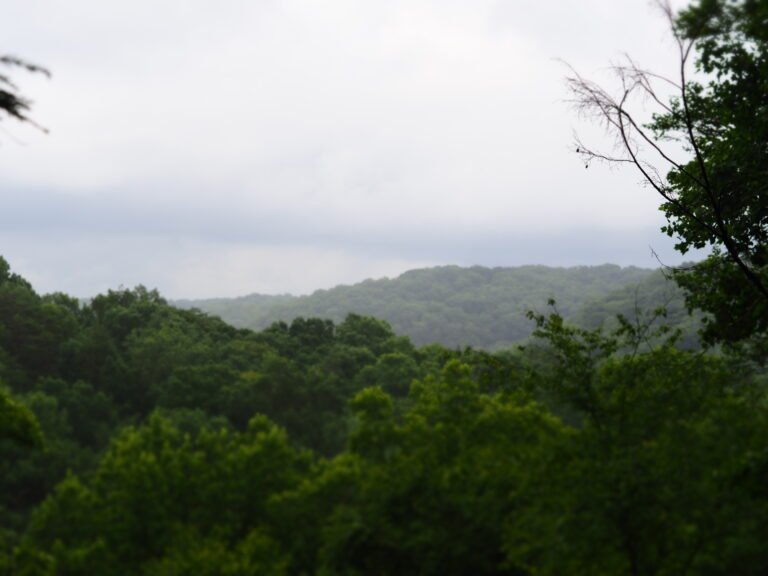 Conkles Hollow State Nature Preserve